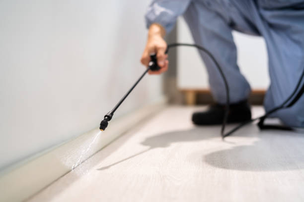 Licensed Termite Control service in Chardon, OH - Nex Pest Control