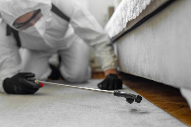 Professional Termite Control technician working in Chardon, OH