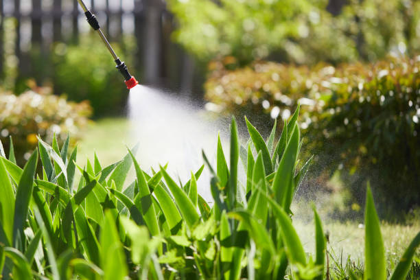 24/7 Emergency Termite Control experts in Chardon, OH